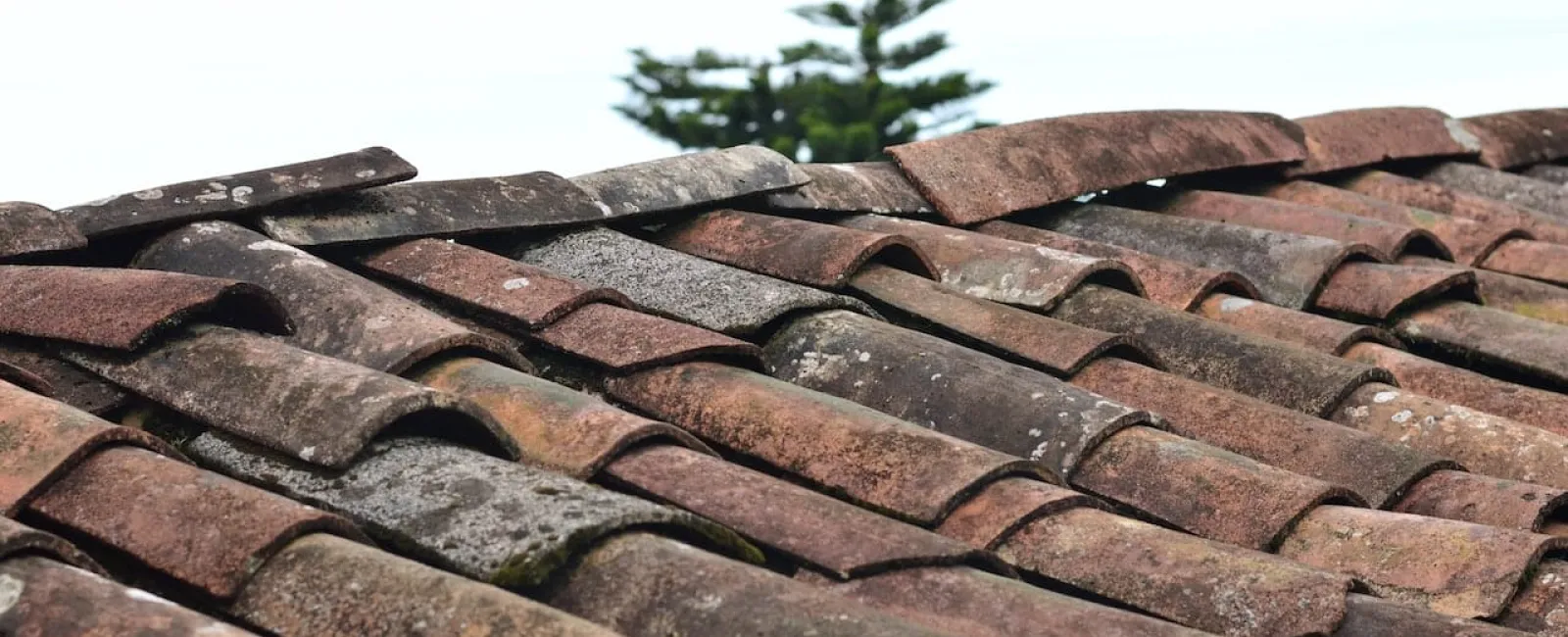 Top Causes of Sagging Roofs and How to Fix Them
