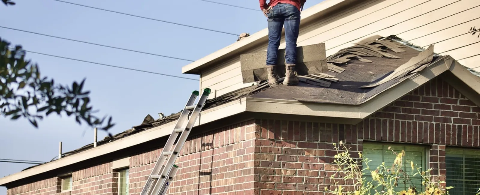 Common Reasons Why Your Roof Is Encountering Problems