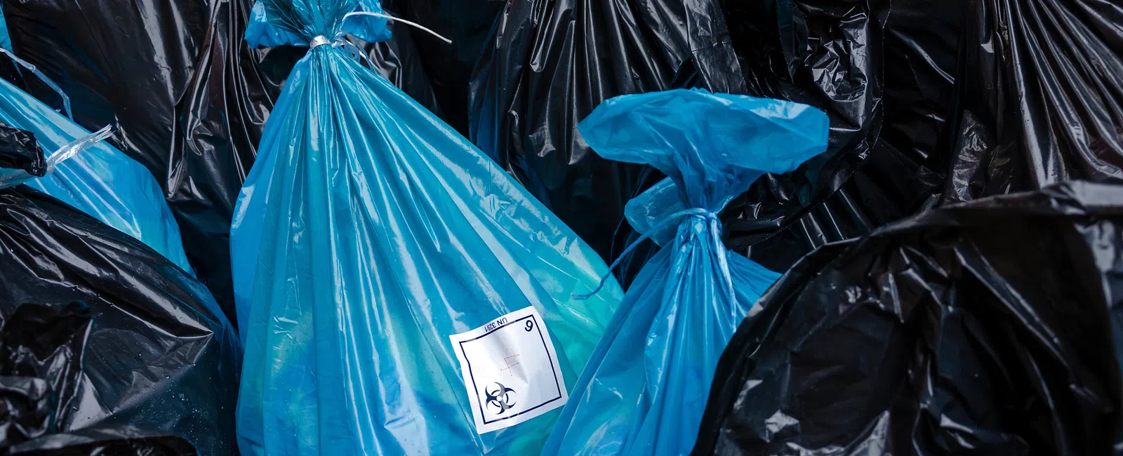 Blue biohazard waste bags surrounded by black garbage bags, highlighting medical hazardous waste disposal.