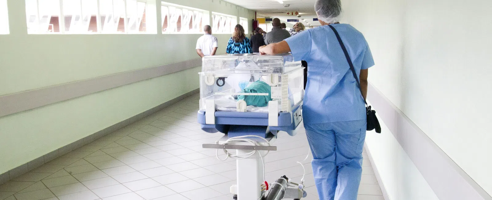 Nurse in blue scrubs pushing a neonatal incubator down a hospital corridor with medical staff ahead