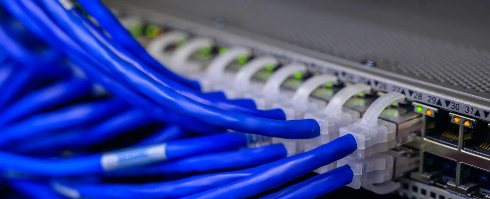 Close-up of blue Ethernet cables connected to a network switch with LED status lights indicating activity.