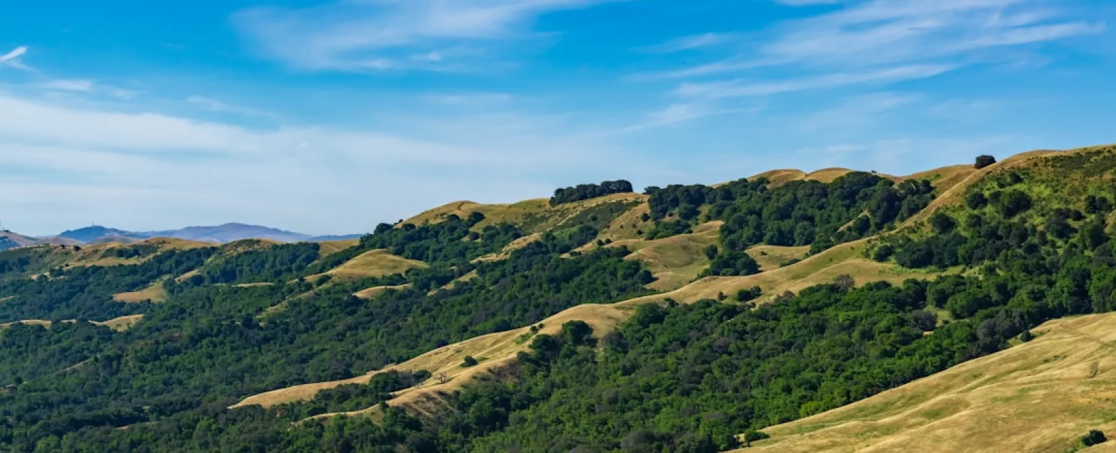 Rolling green hills under a blue sky with wispy white clouds on a sunny day