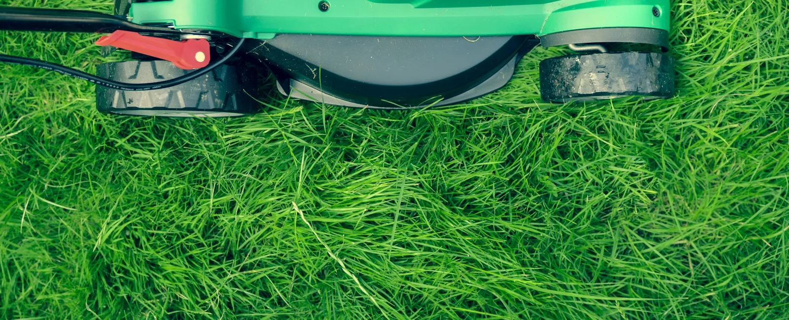 a green lawnmower on grass