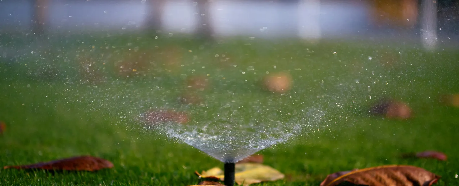 a sprinkler spraying water on grass