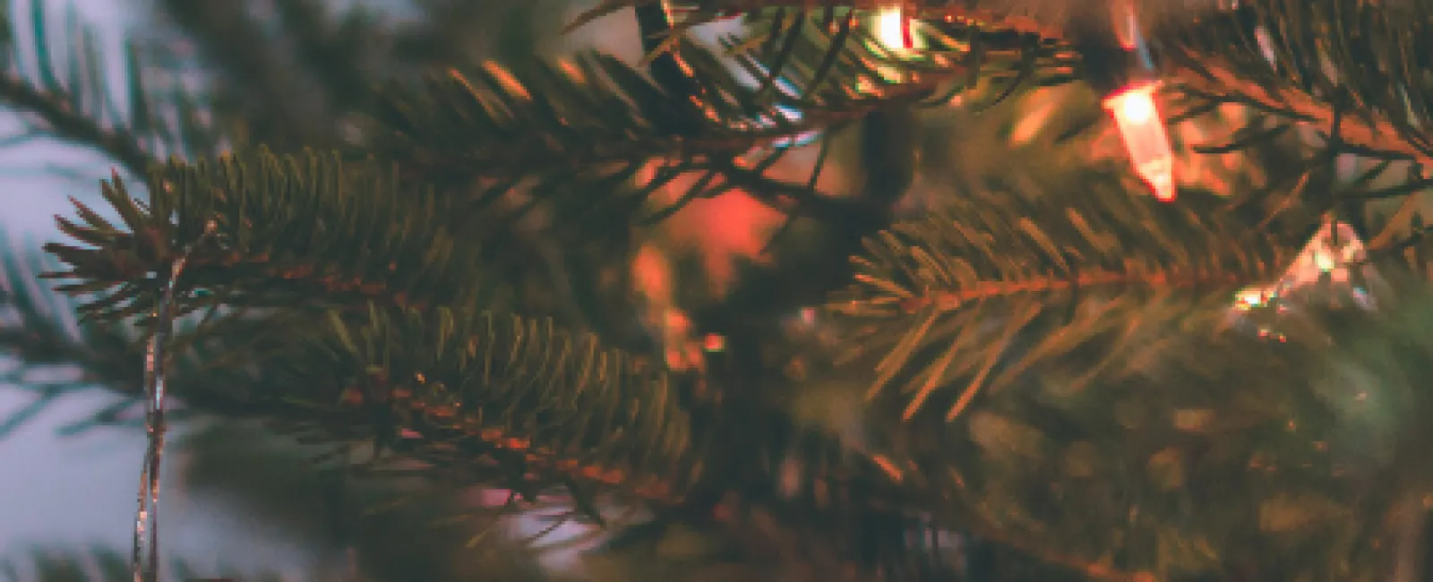 Close-up of a decorated Christmas tree with stockings and ornaments alongside Patriot Service logo and contact info.