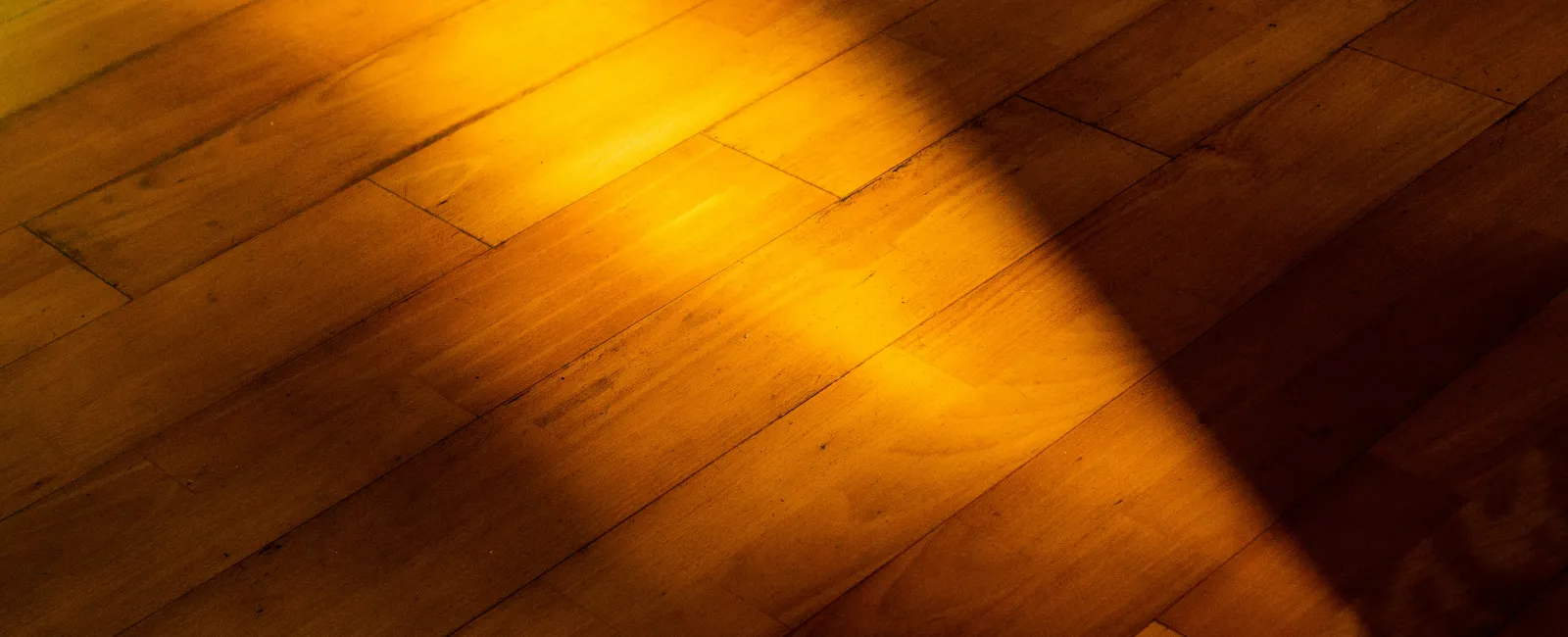 Sunlight casting a warm glow and shadows on a wooden floor with natural grain details.