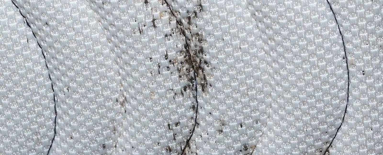 How Do Bed Bugs Get Into Philadelphia Homes?