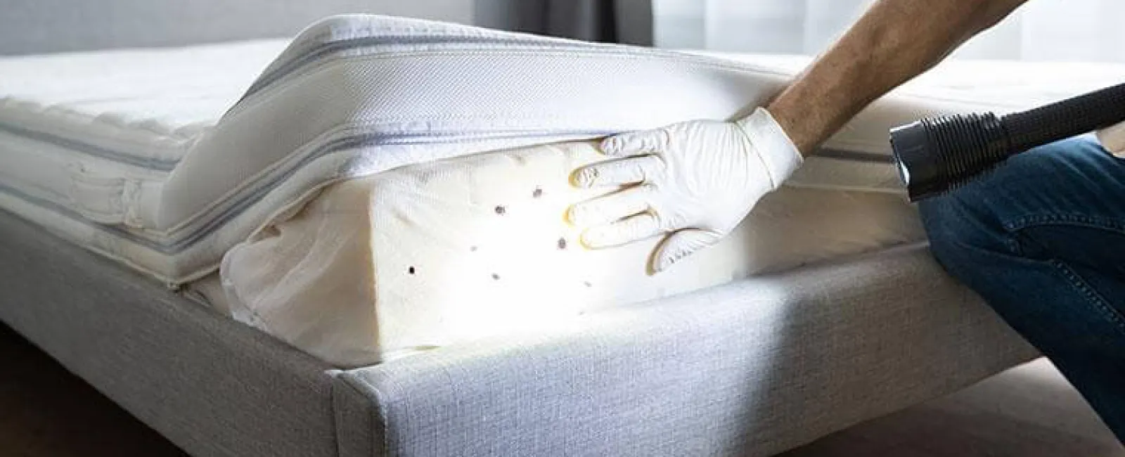 The Secret To Effective Bed Bug Control In Central New York