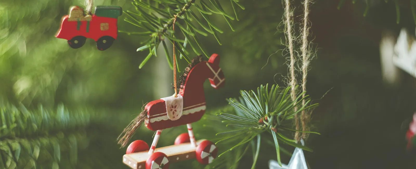 A Guide to Keeping Your Christmas Tree Bug-Free