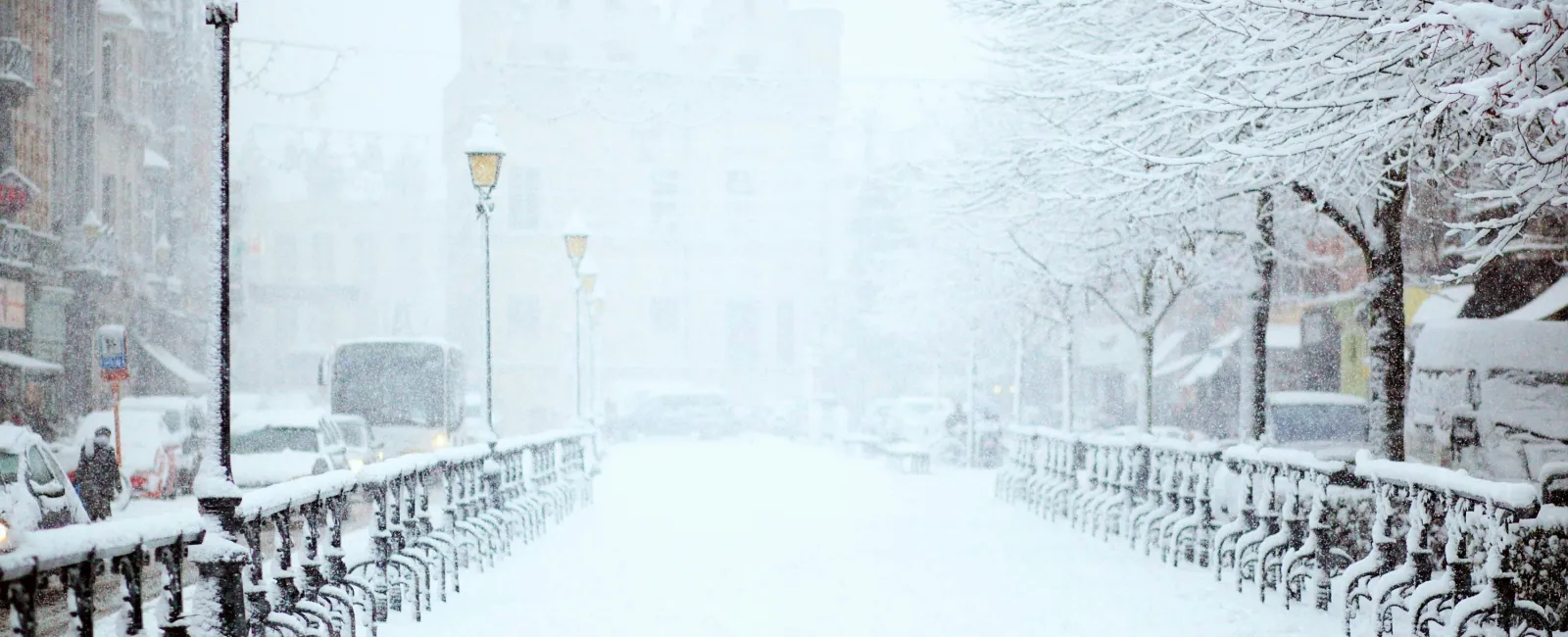 Top 4 Ways to Winterize Your Home Against Pests This Year