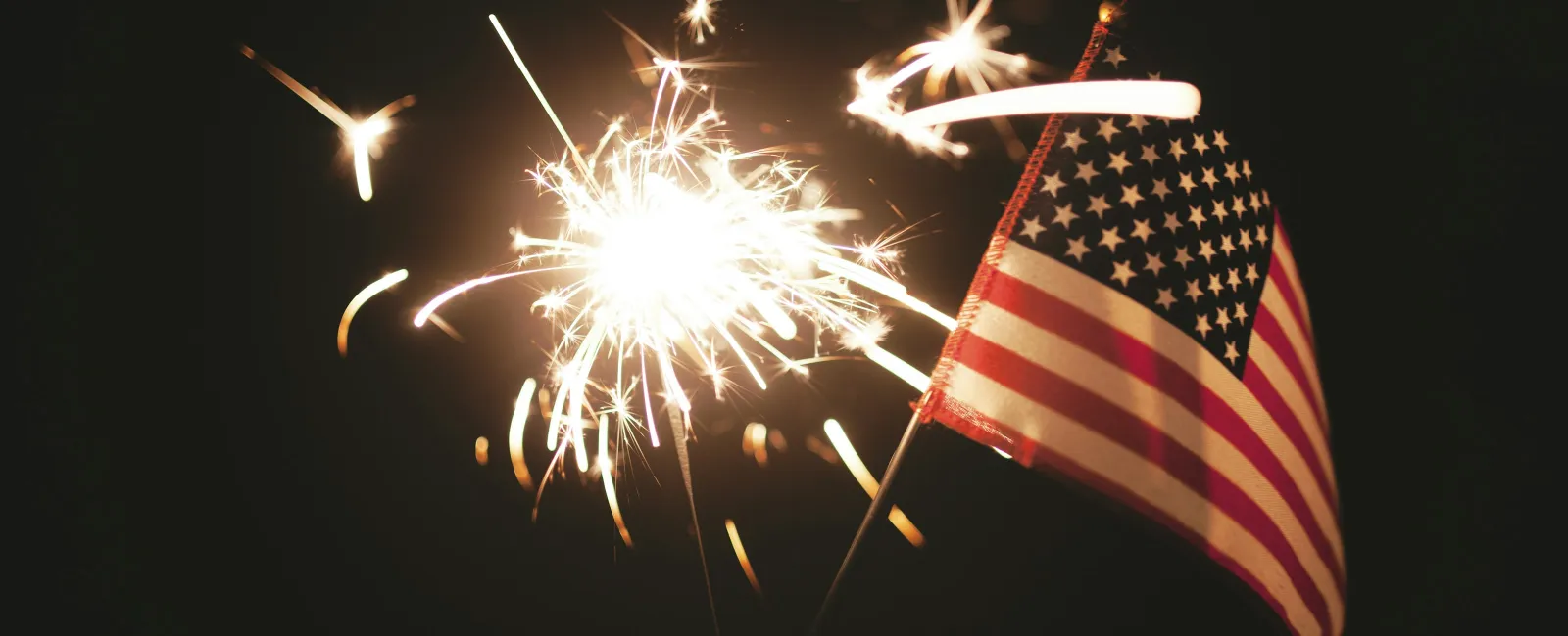 Don’t Let Pests Ruin Your 4th of July