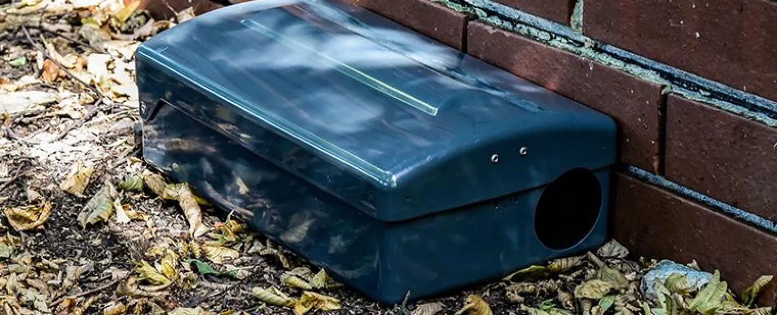 rodent station outside building