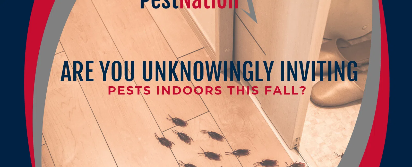 Are You Unknowingly Inviting Pests Indoors This Fall?