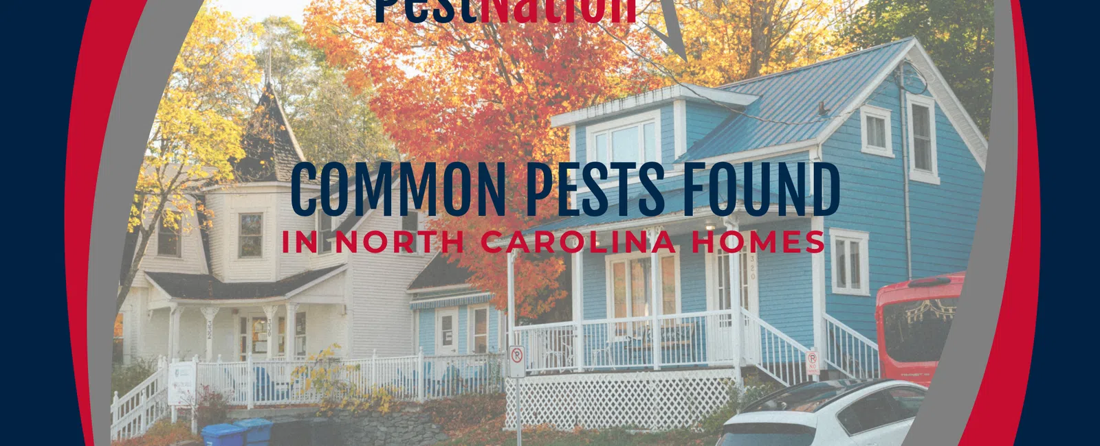 Common Pests Found in North Carolina Homes