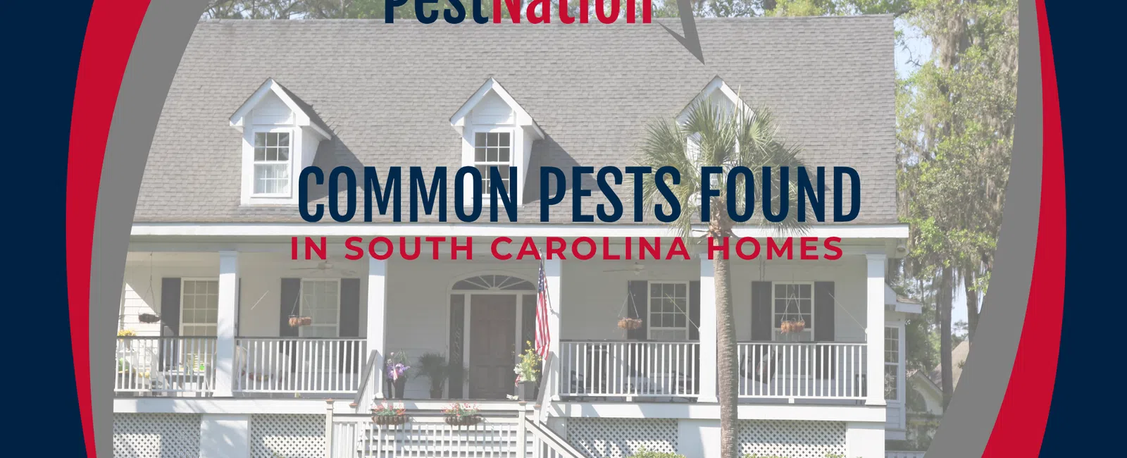 Common Household Pests in South Carolina
