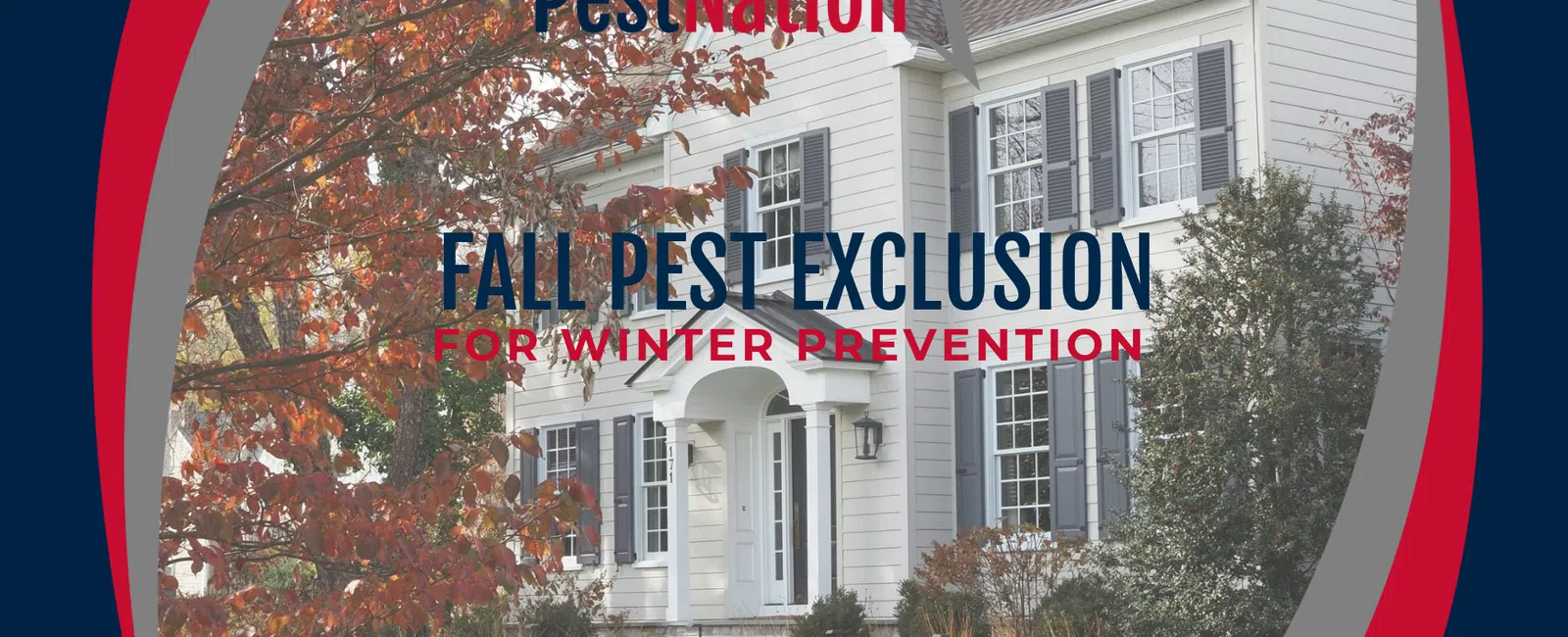 Fall Pest Exclusion for Winter Prevention