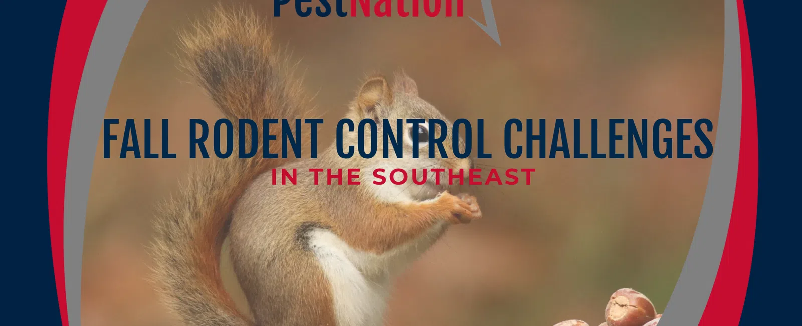Fall Rodent Control Challenges in the Southeast