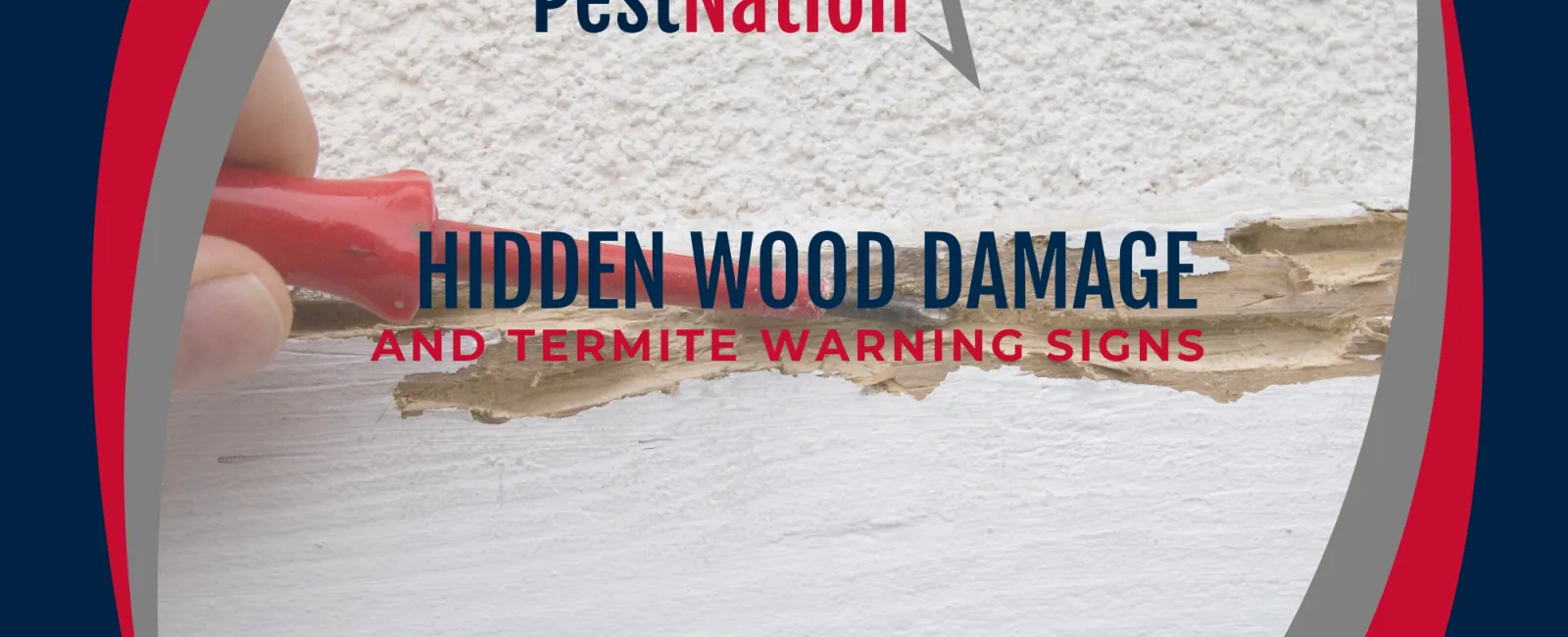 Hidden Wood Damage and Termite Warning Sign