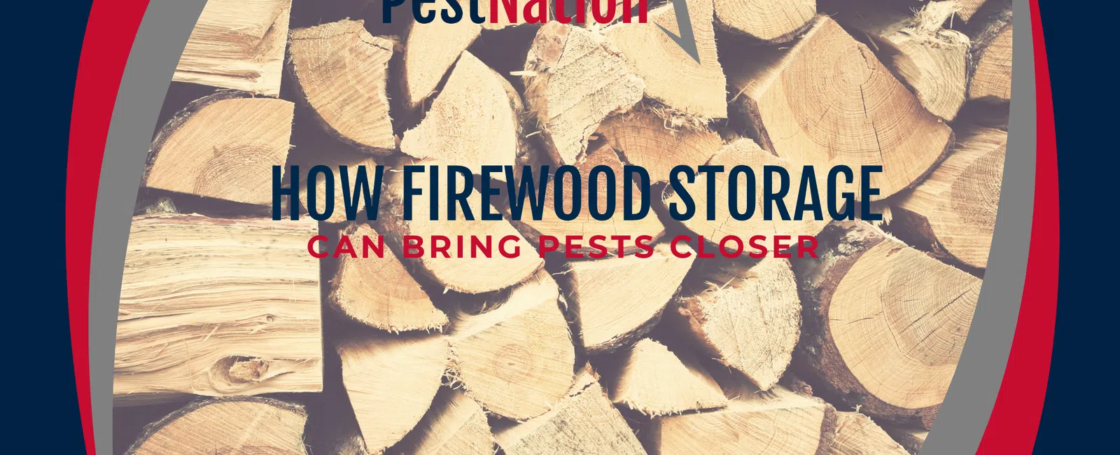 How Firewood Storage Can Bring Pests Closer