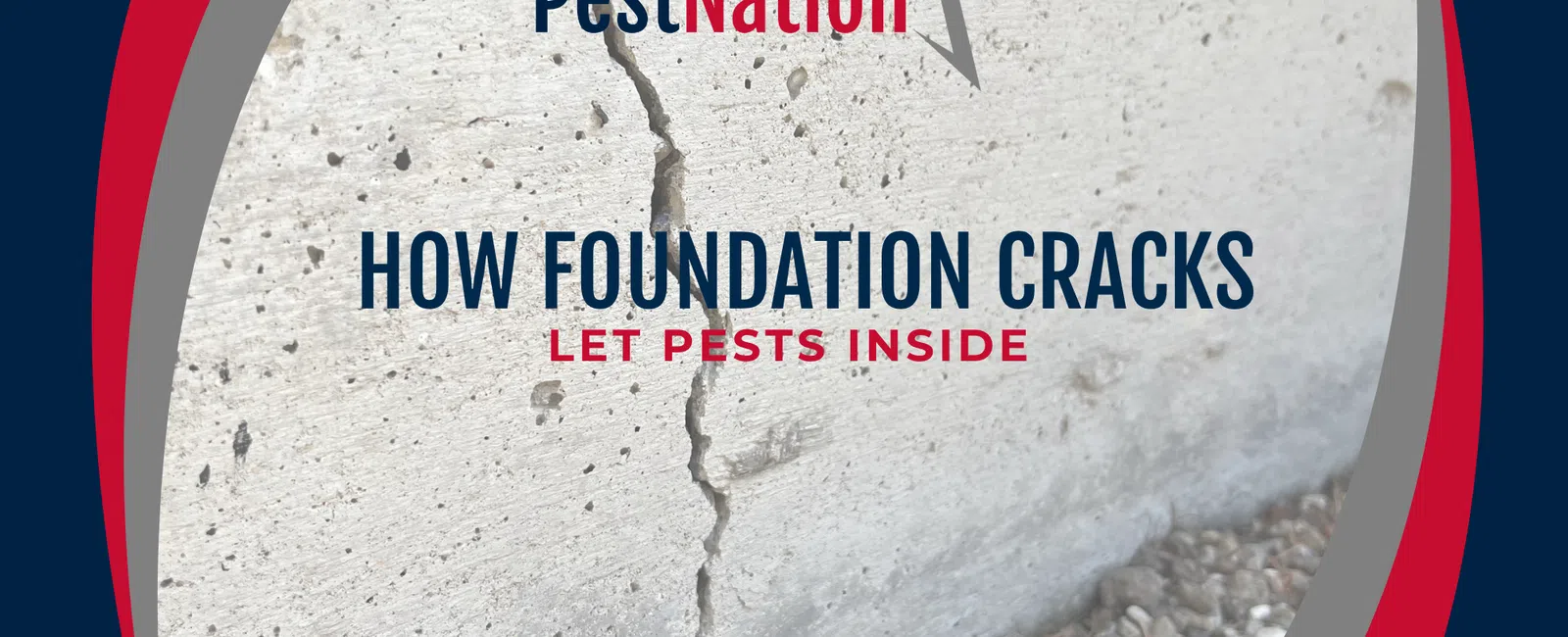 How Foundation Cracks Let Pests Inside