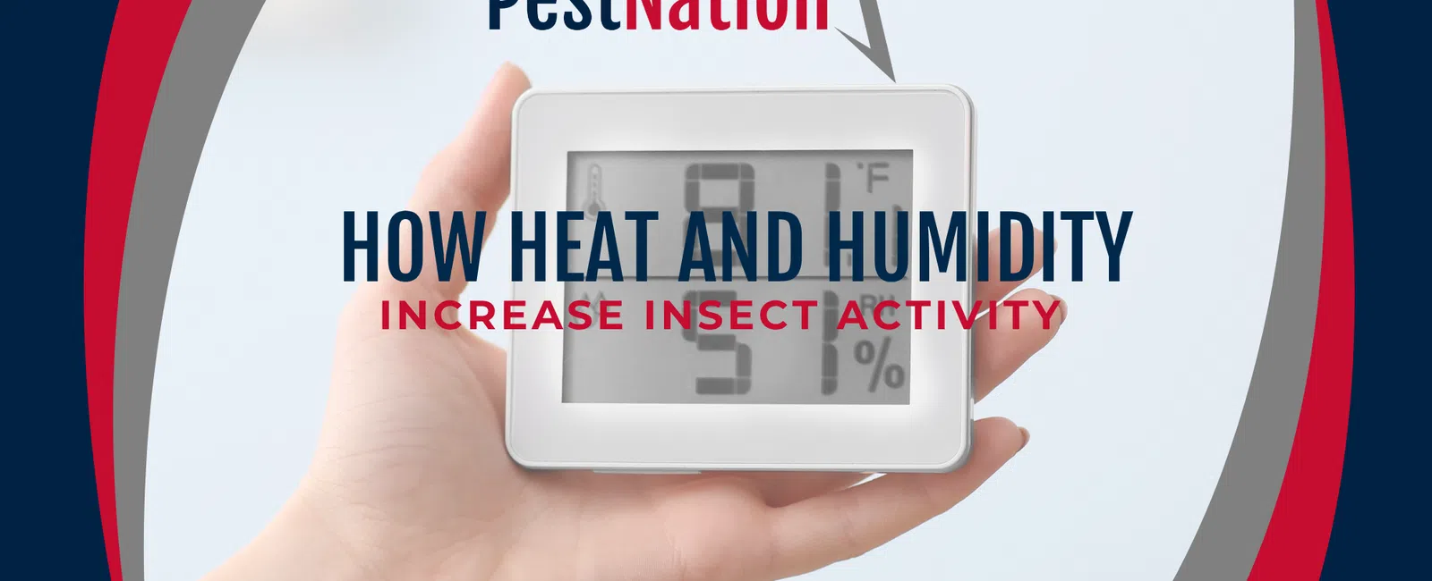 How Heat and Humidity Increase Insect Activity