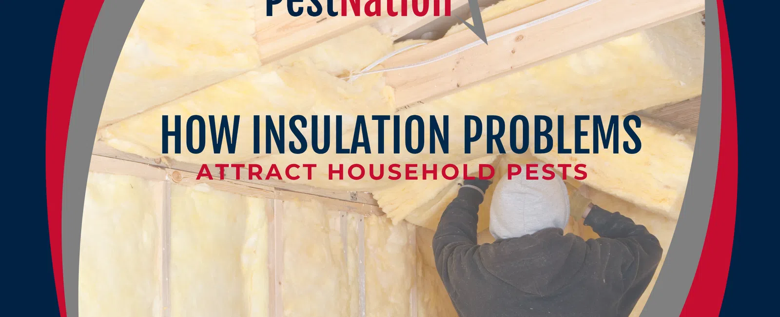 How Insulation Problems Attract Household Pests