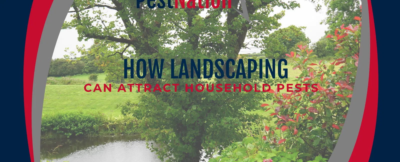How Landscaping Can Attract Household Pests
