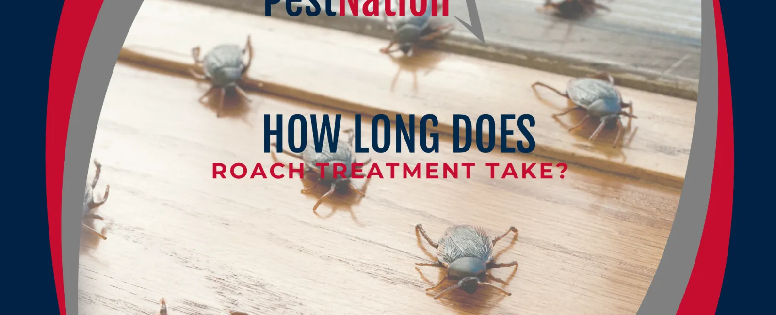 How Long Does Roach Treatment Take?