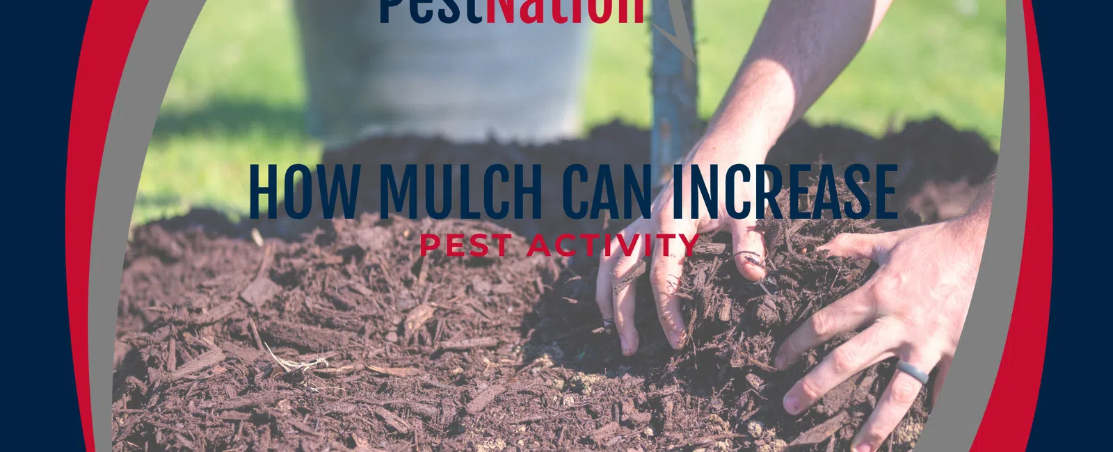 How Mulch Can Increase Pest Activity