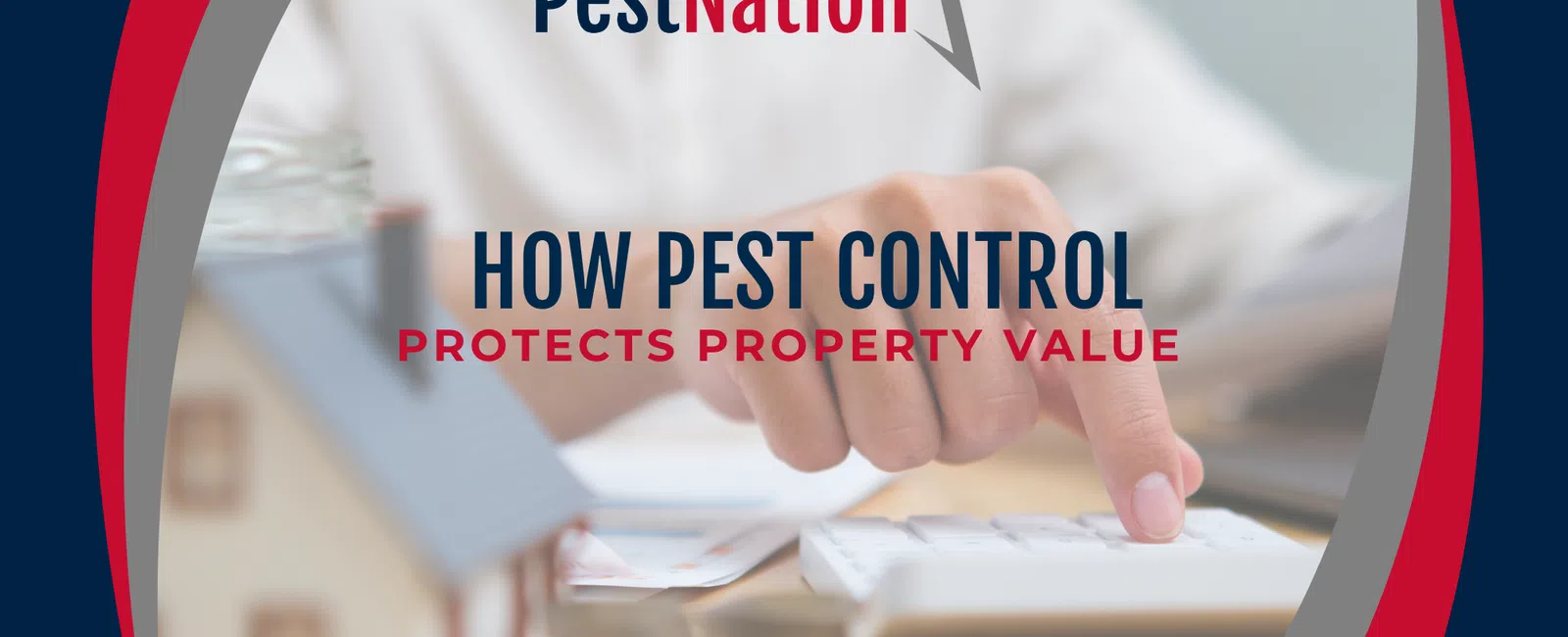 How Pest Control Protects Property Value