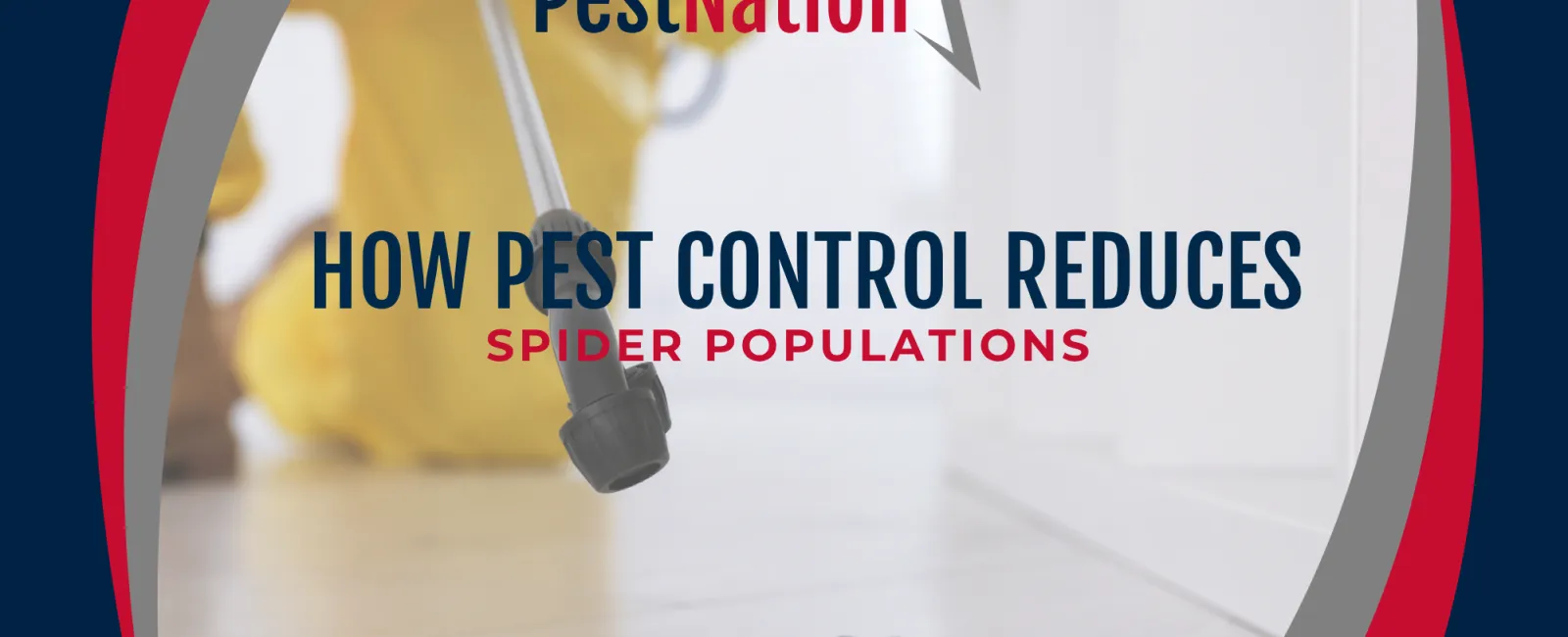 How Pest Control Reduces Spider Populations