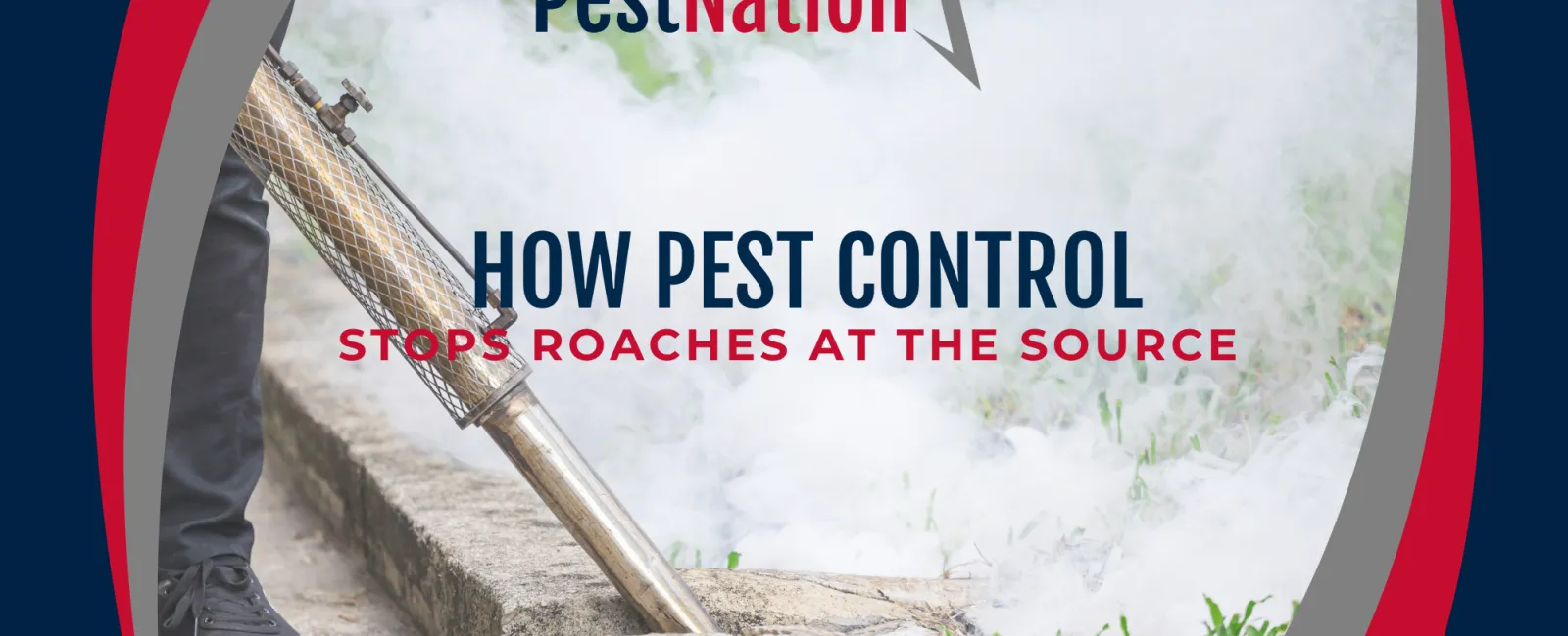 How Pest Control Stops Roaches at the Source