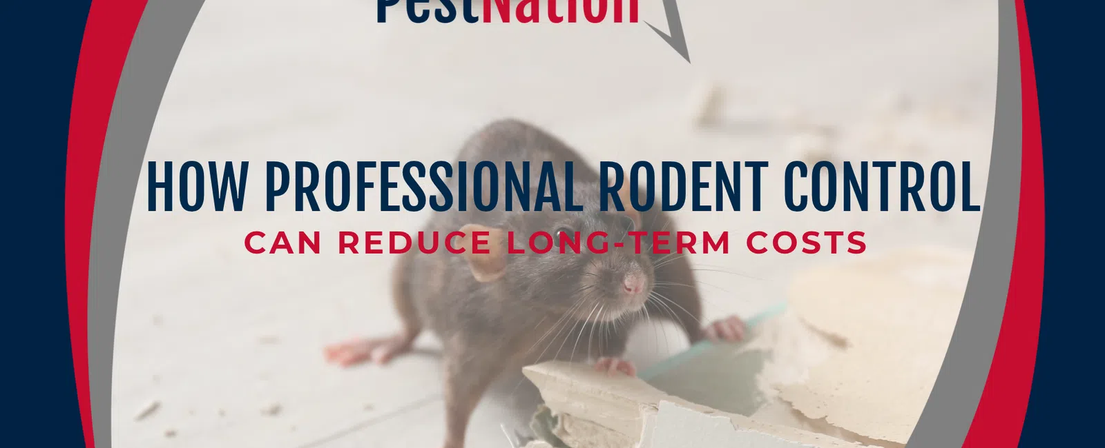 How Professional Rodent Control Can Reduce Long-Term Costs