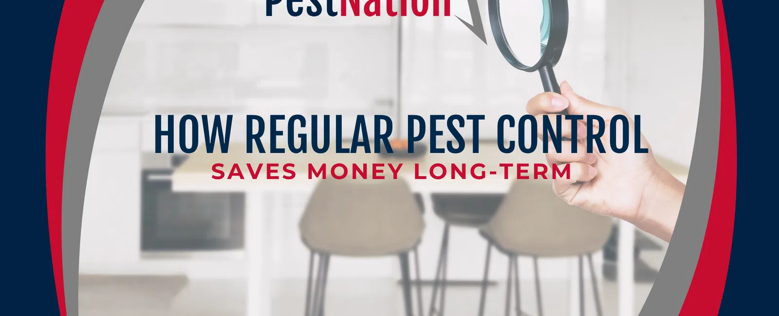 How Regular Pest Control Saves Money Long-Term