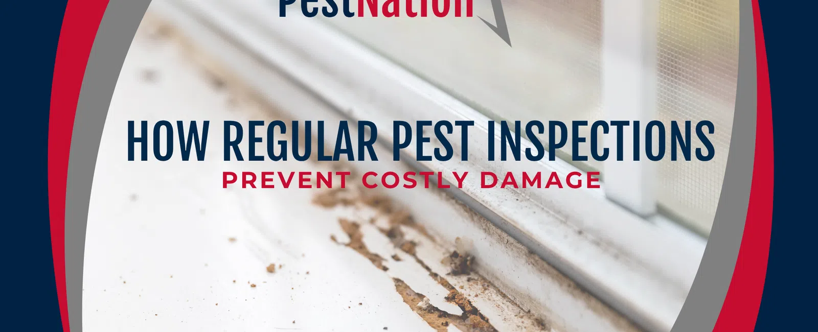 How Regular Pest Inspections Prevent Costly Damage
