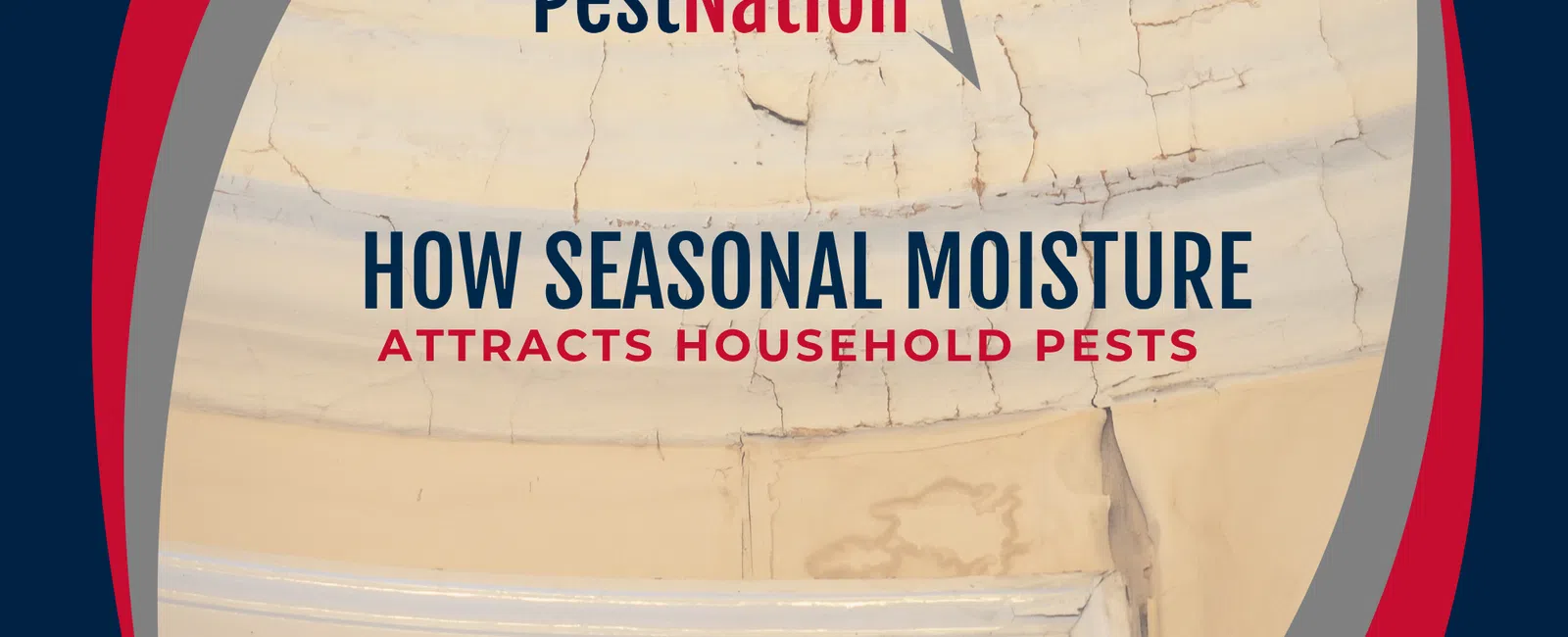 How Seasonal Moisture Attracts Household Pests