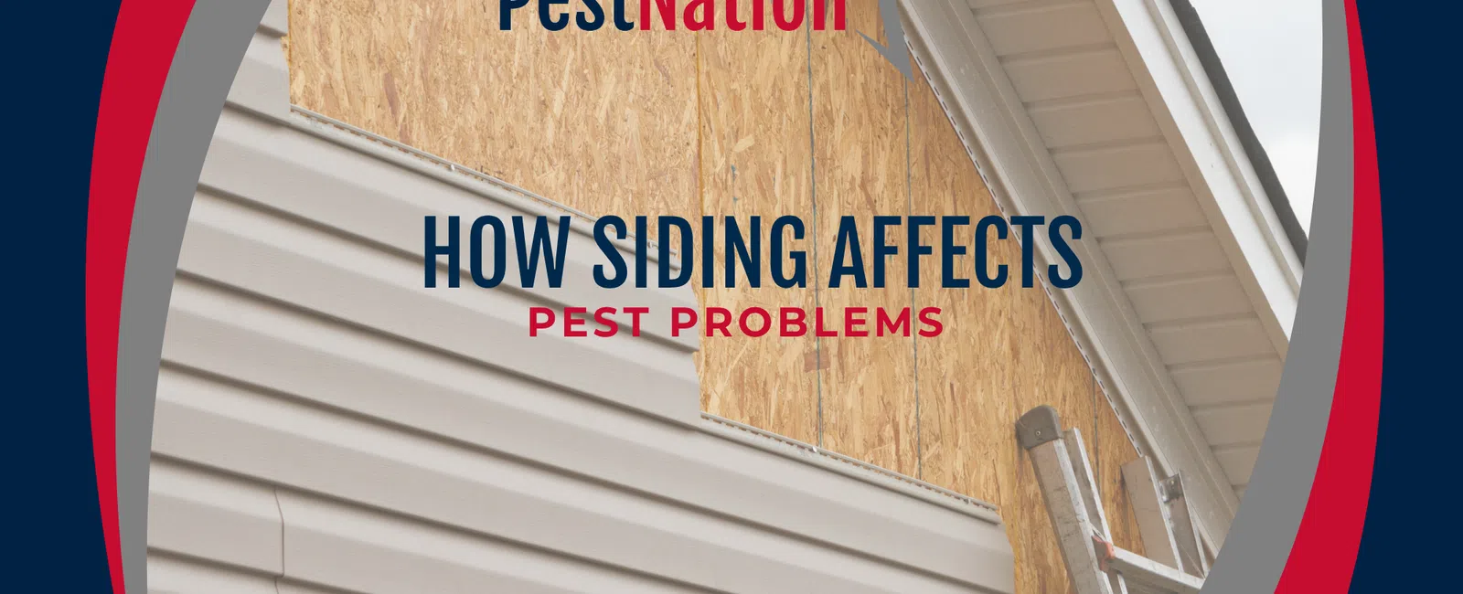 How Siding Affects Pest Problems