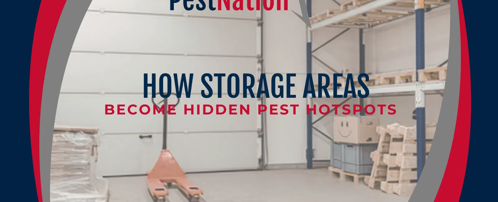 How Storage Areas Become Hidden Pest Hotspots