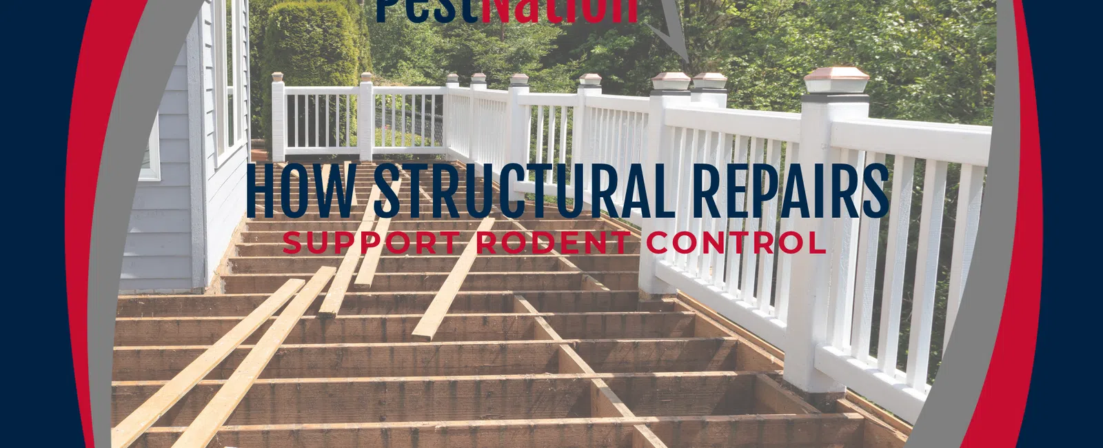 How Structural Repairs Support Rodent Control