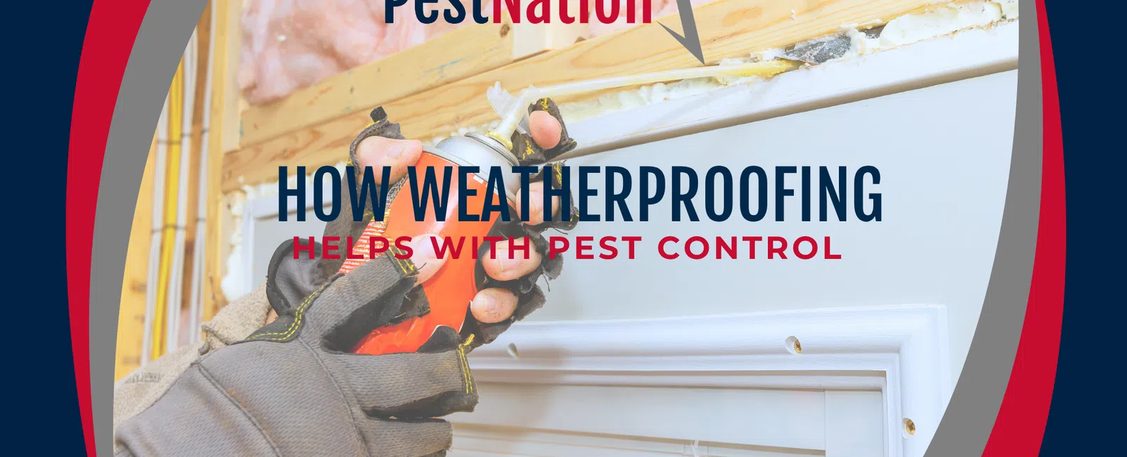 How Weatherproofing Helps With Pest Control