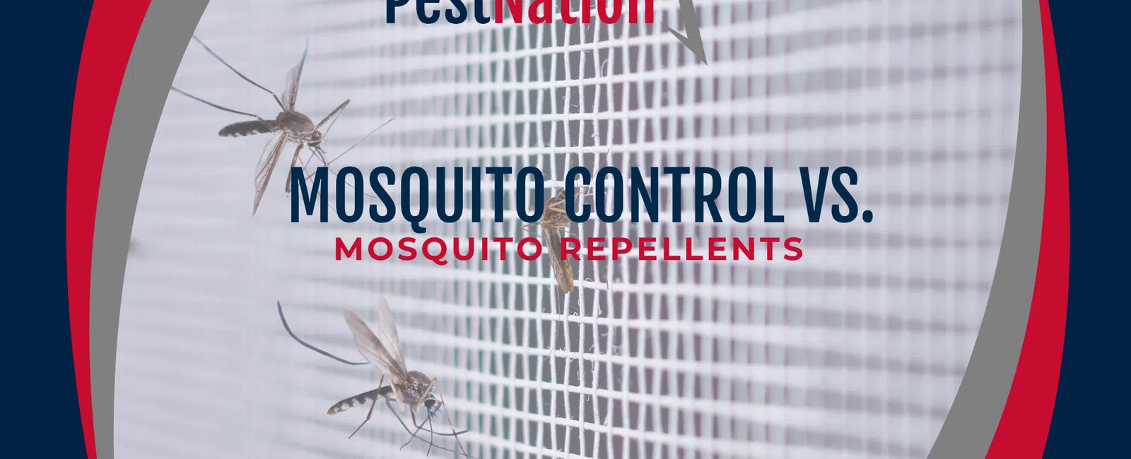 Mosquito Control vs. Mosquito Repellents