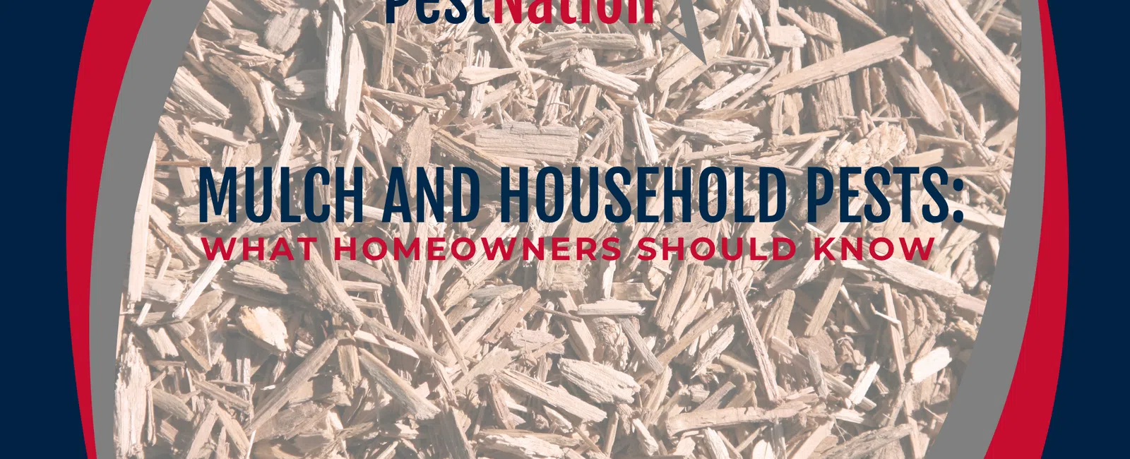 Mulch and Household Pests: What Homeowners Should Know