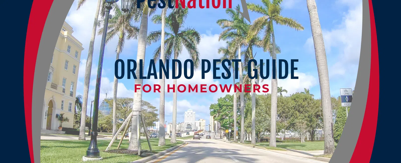 Orlando Pest Guide for Homeowners