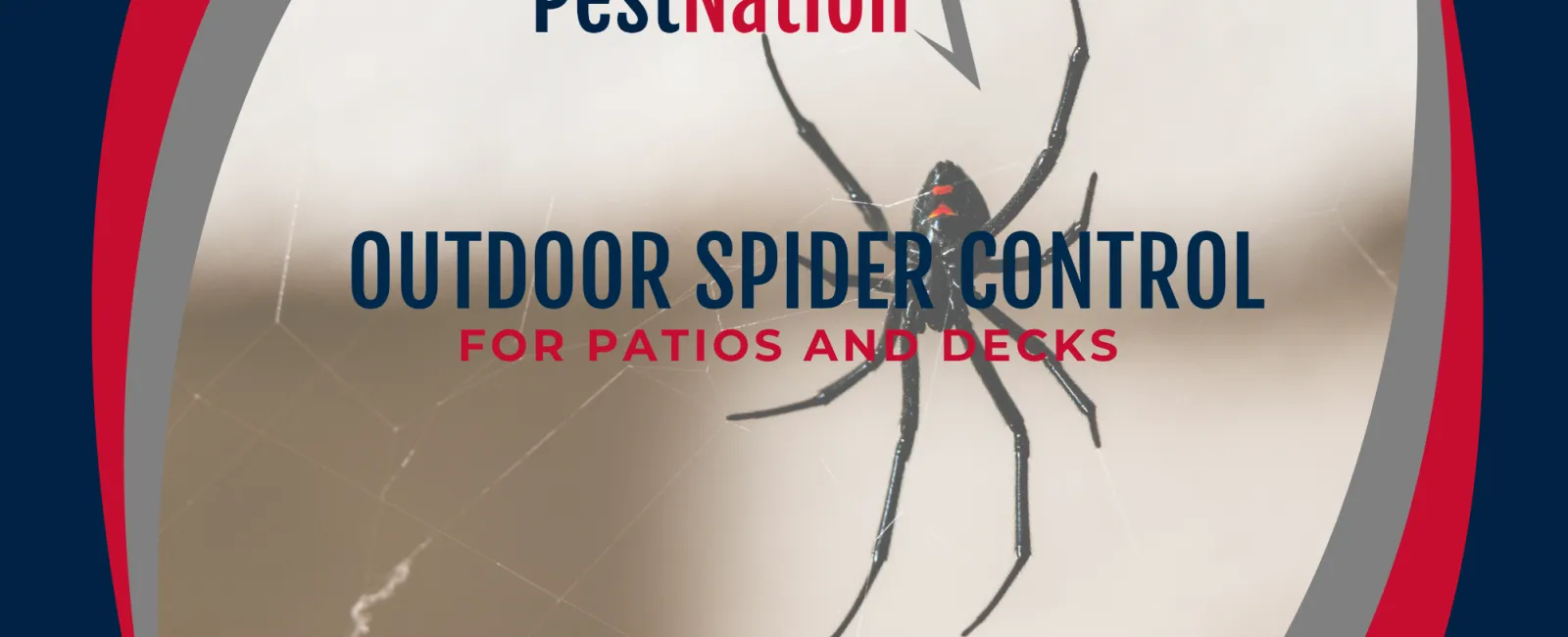 Outdoor Spider Control for Patios and Decks