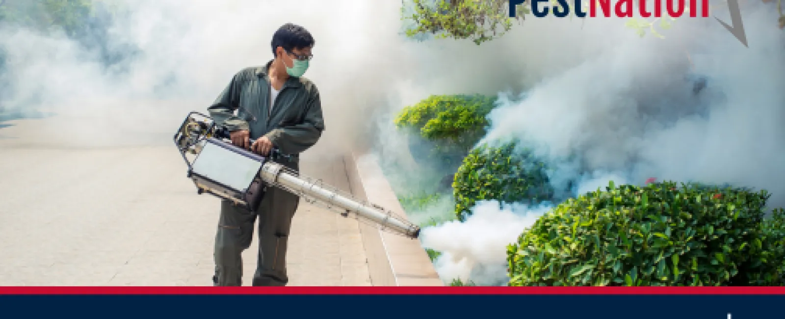 How PestNation’s Mosquito Treatment Works