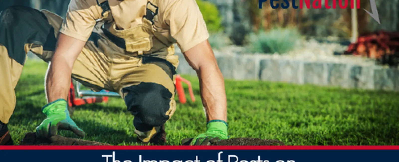 The Impact of Pests on Landscaping and Garden Design