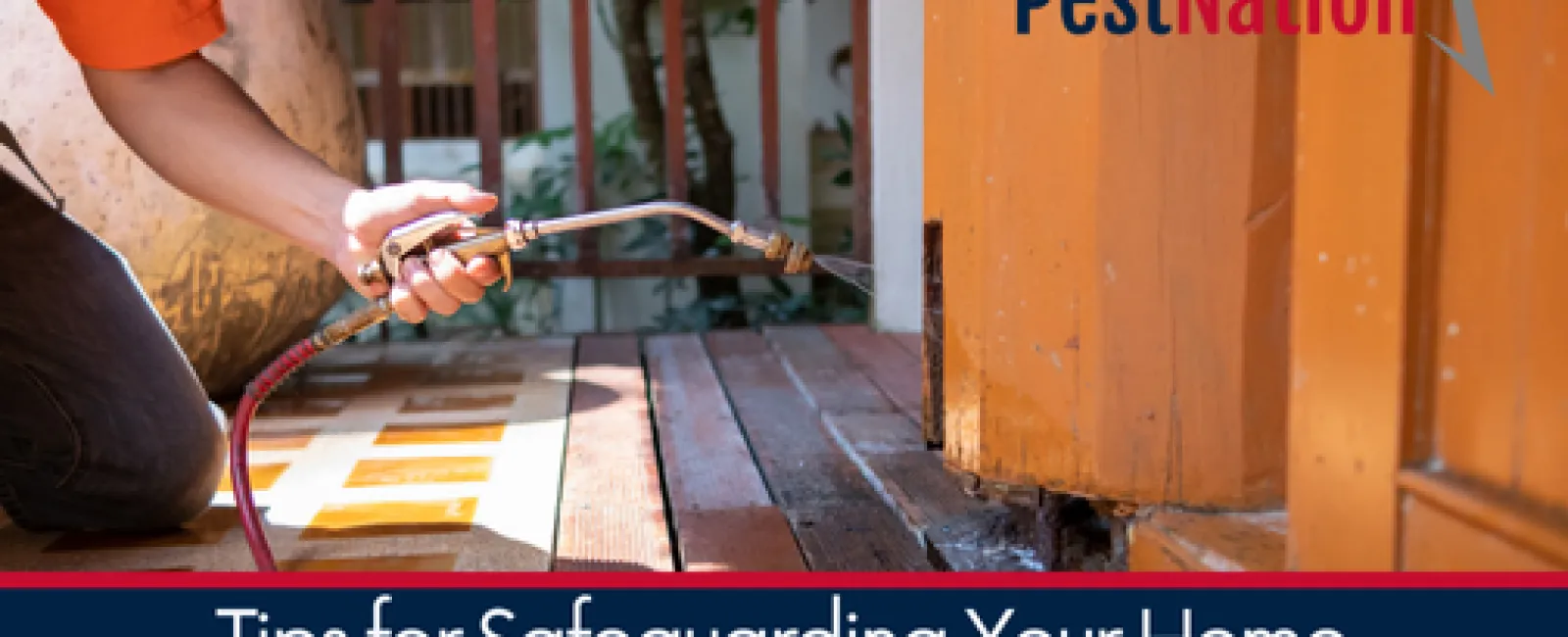 Tips for Safeguarding Your Home Against Termite Damage