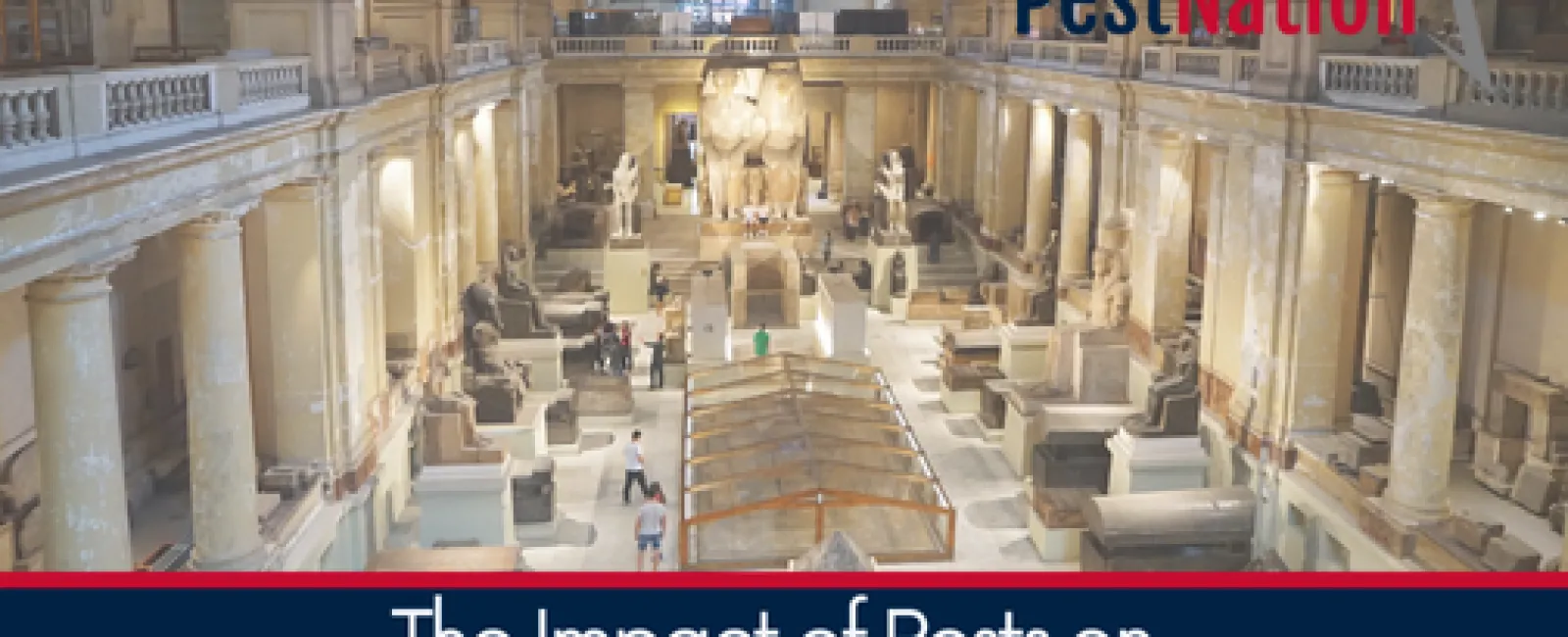 The Impact of Pests on Historical Artifacts and Collections
