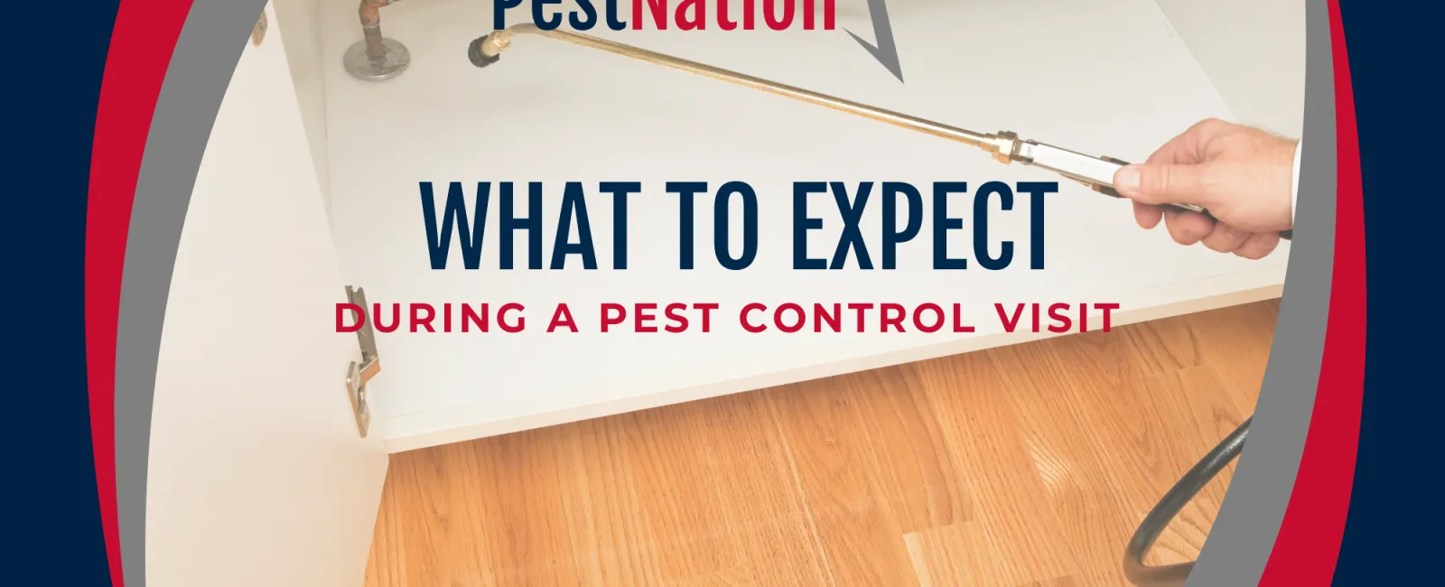 What to Expect During a Pest Control Visit