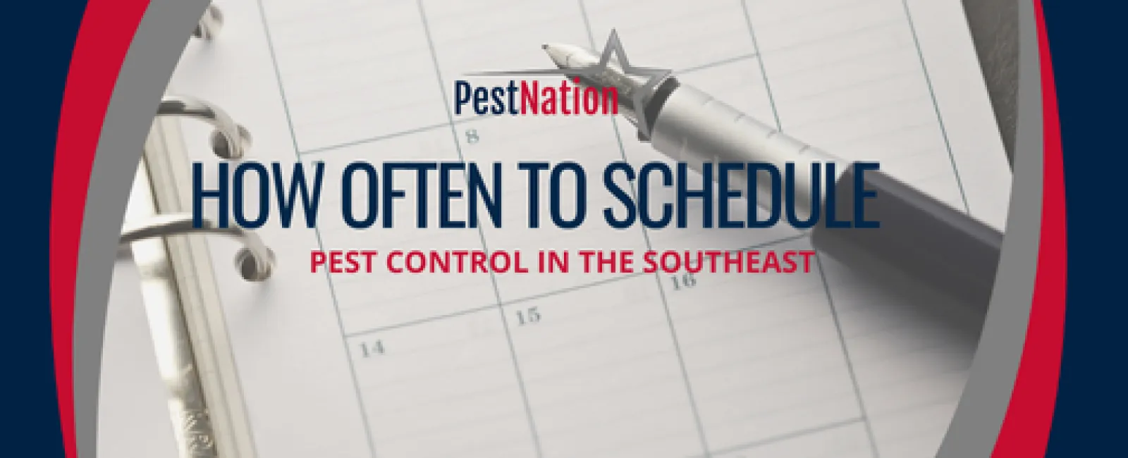 How Often to Schedule Pest Control in the Southeast